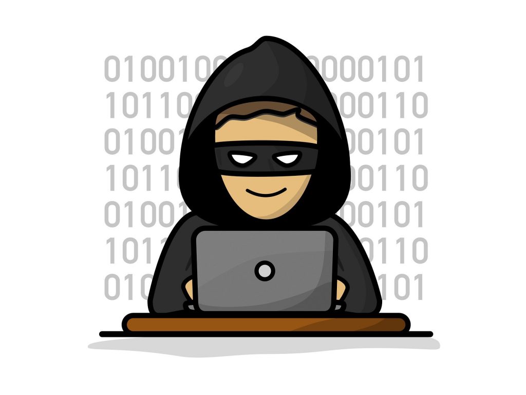 cyber thief