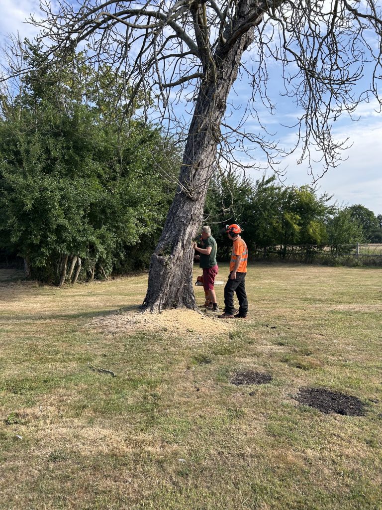 Maintenance of the grounds comes into your wedding venue hire cost.